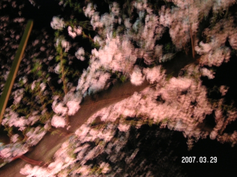 s_PICT0005.jpg
